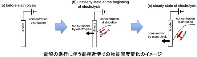 学生の研究成果がJournal of Water and Environment誌に掲載されました！