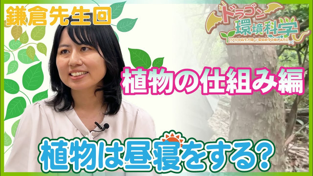 【鎌倉真依先生編】ドラゴン環境科学 〜リアル中高生が聞く!環境科学の楽しみかた〜