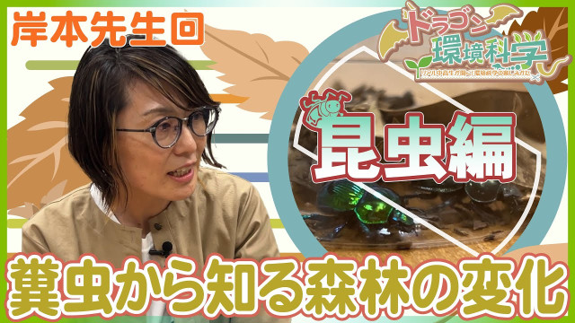 【岸本圭子先生編】ドラゴン環境科学 〜リアル中高生が聞く!環境科学の楽しみかた〜