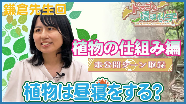 【鎌倉真依先生 しゃべりすぎ編 long version】ドラゴン環境科学 〜リアル中高生が聞く!環境科学の楽しみかた〜