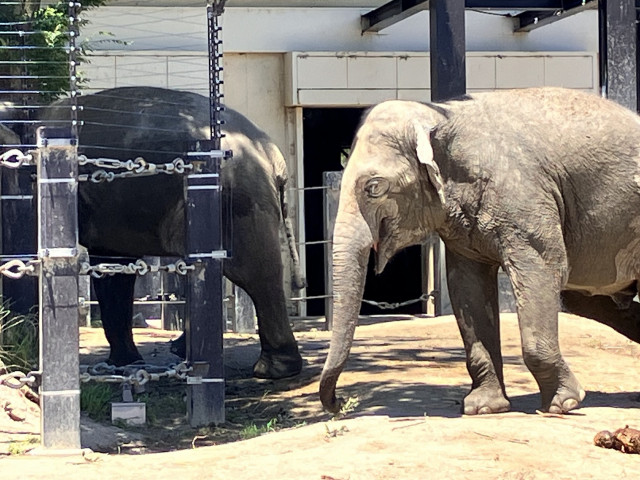 藤森先生が京都動物園のイベントでレクチャーしました。
