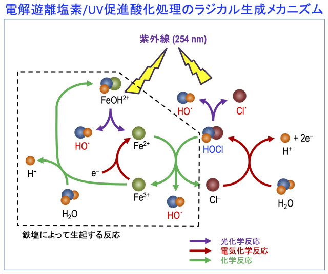 卒業研究の成果がEnvironmentalTechnology 誌46巻24号に掲載されました！