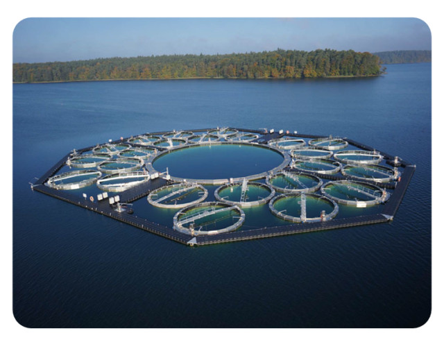 夏の暴風雨が湖の生物相や炭素循環に与える影響をシミュレーションした研究を発表しました。