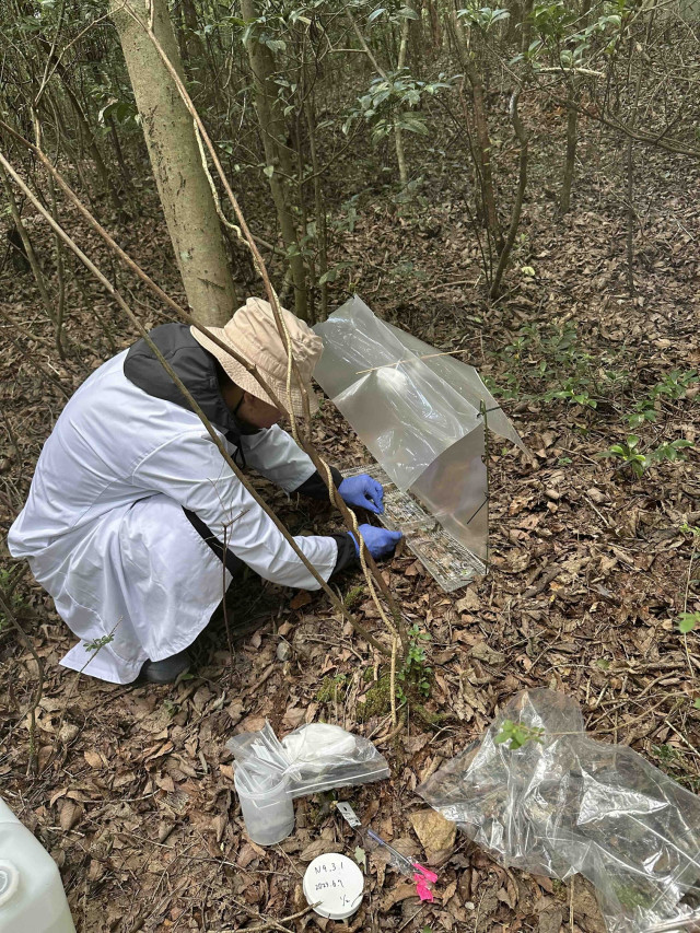糞虫群集についての広域研究の結果が雑誌に掲載されます