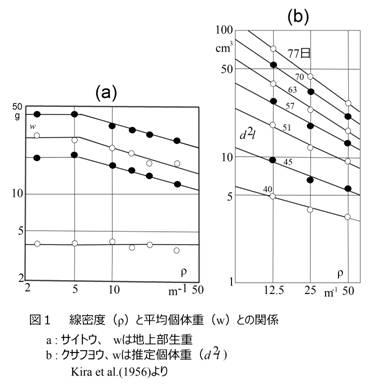 fig_1.bmp