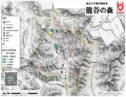 龍谷の森地図（A4縦カラー）